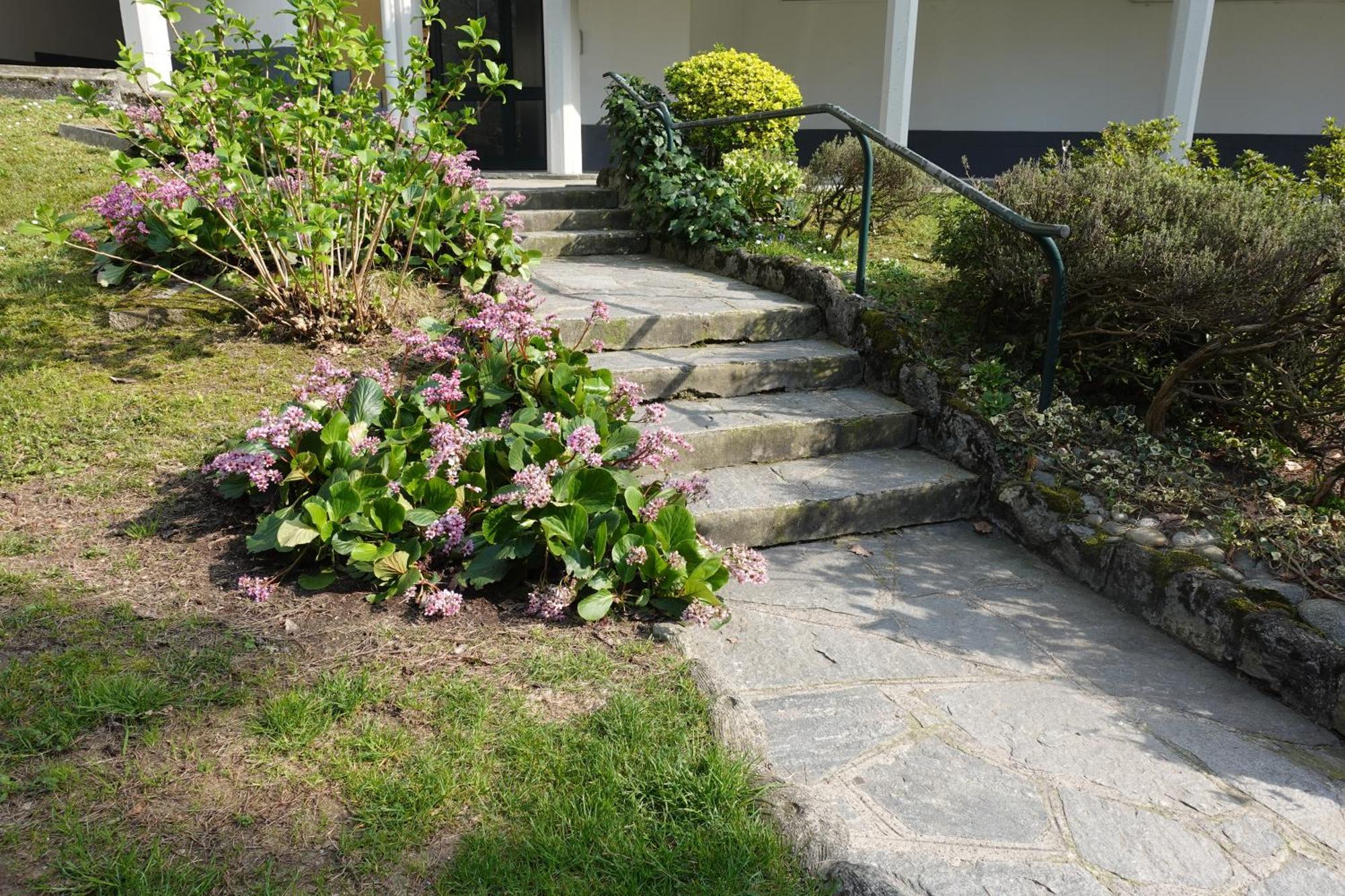 Sagnino Como Lake Apartment Free Parking Dış mekan fotoğraf
